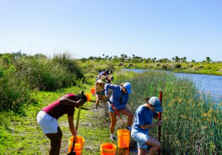 Volunteering Facts You Need to Know for a Better Community